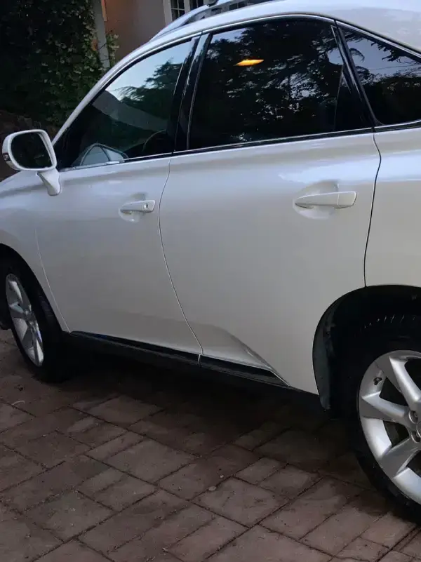 Professional Auto Detailer